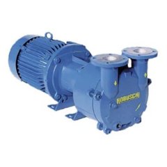 Водокольцевой вакуумный насос Robuschi RVS16/SG